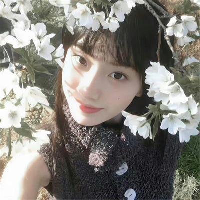 办公室第六季